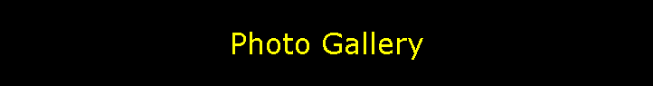Photo Gallery